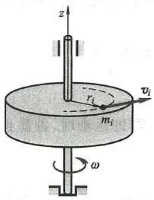 bo_d3u3rebef24c73d22vag_345_445_807_311_405_0