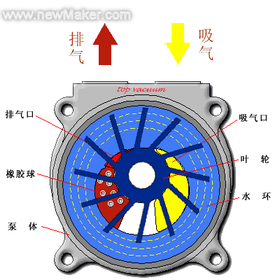 水环式真空泵
